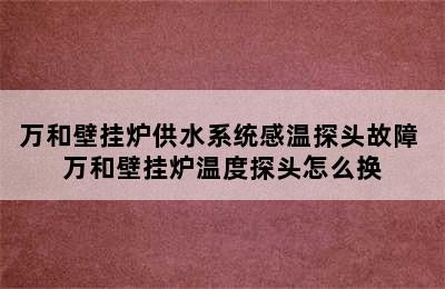 万和壁挂炉供水系统感温探头故障 万和壁挂炉温度探头怎么换